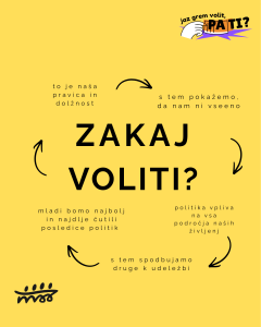 Zakaj volit (Grafika)