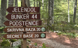 Against forgetting (Fotografija)