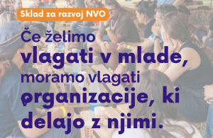 Grafika: Sklad za NVO Naslovnica (Grafika: MSS)